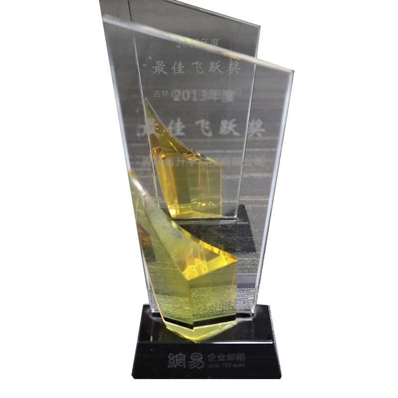 2013年網(wǎng)易最佳飛躍獎