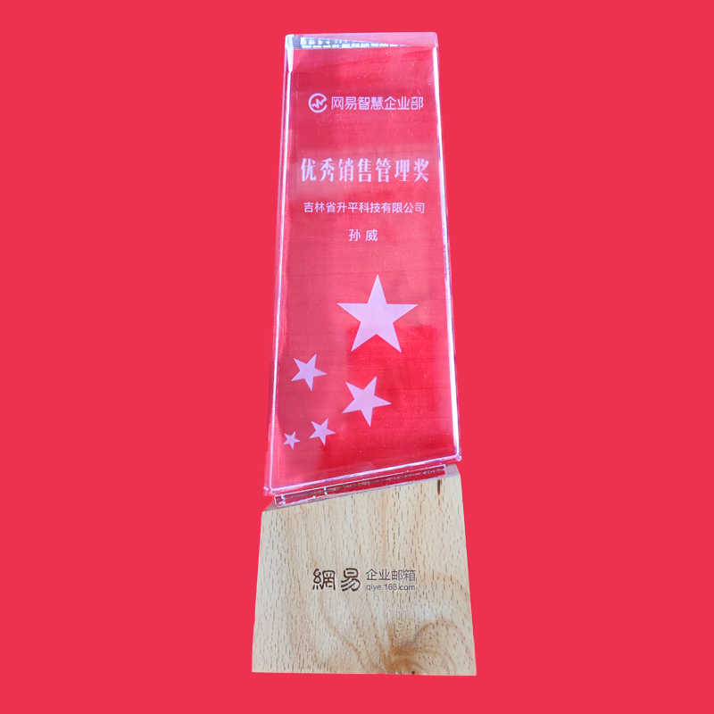 2019年優(yōu)秀銷售管理獎