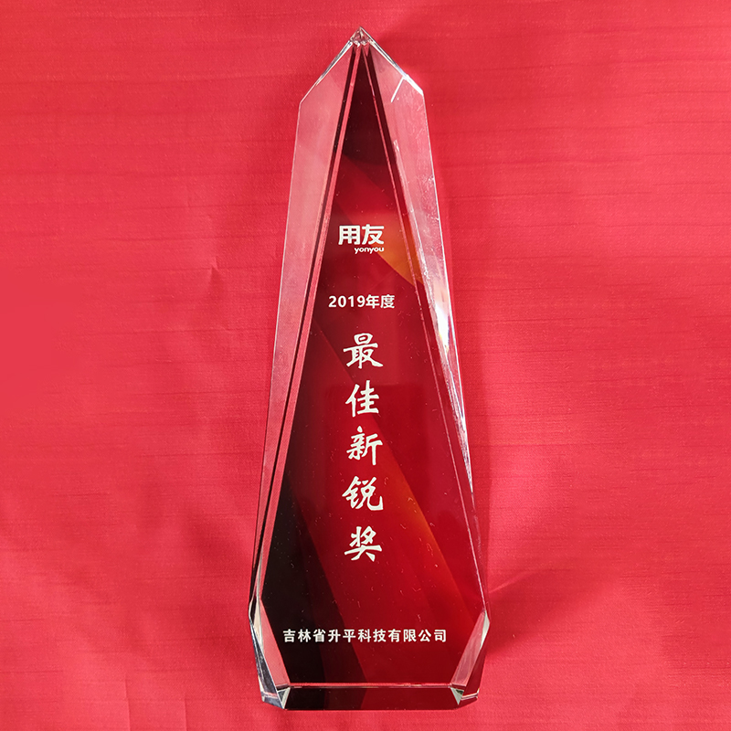 2019年用友最佳新銳獎